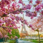 View of Paris in the spring with eiffel tower in the background